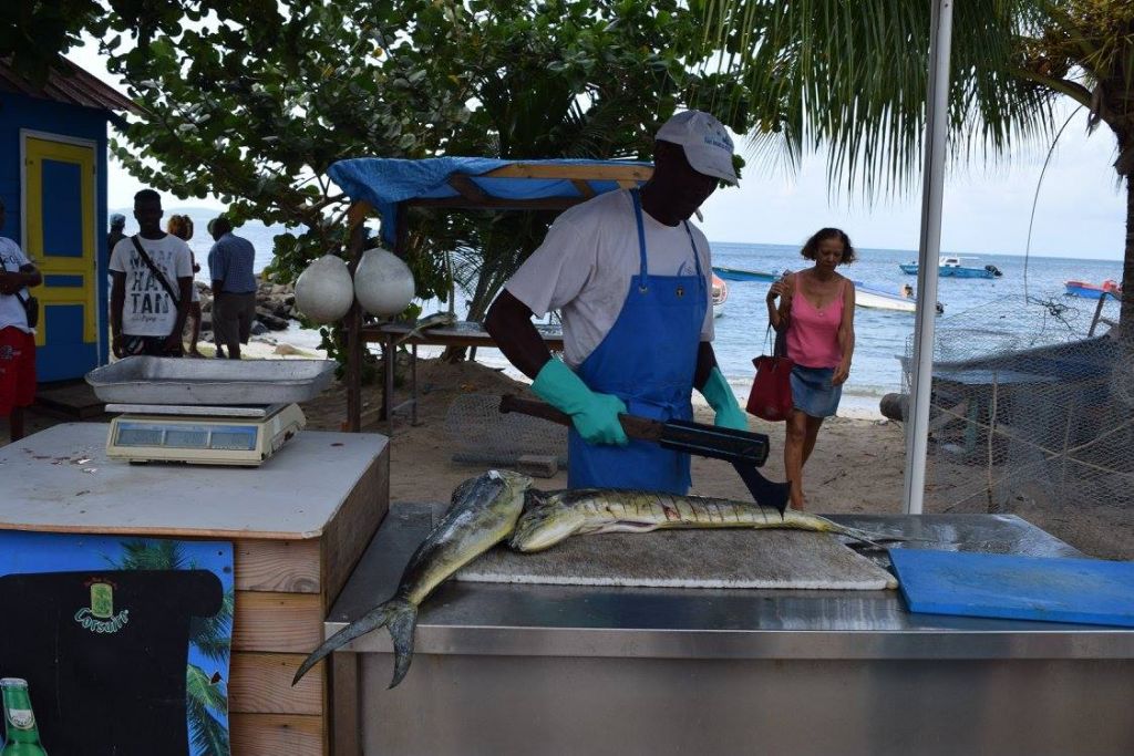 MARTINIQUE. Forum économique de la pêche et de l’aquaculture