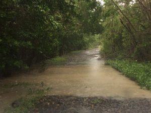 inondation-martinique-a-580x435