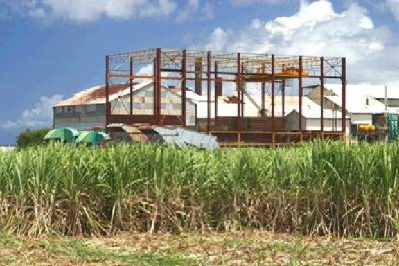 [Vidéo] Guadeloupe. Inquiétude sur l’ avenir de l ‘industrie sucrière à Marie galante