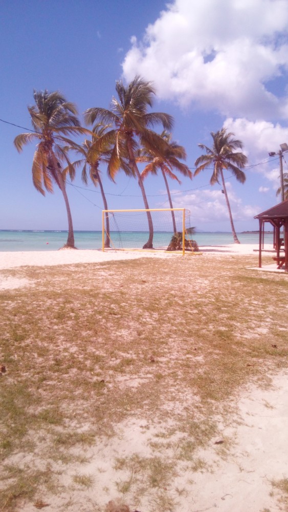 GUADELOUPE. Découverte du corps sans vie d’une femme à Grand bourg Marie galante.