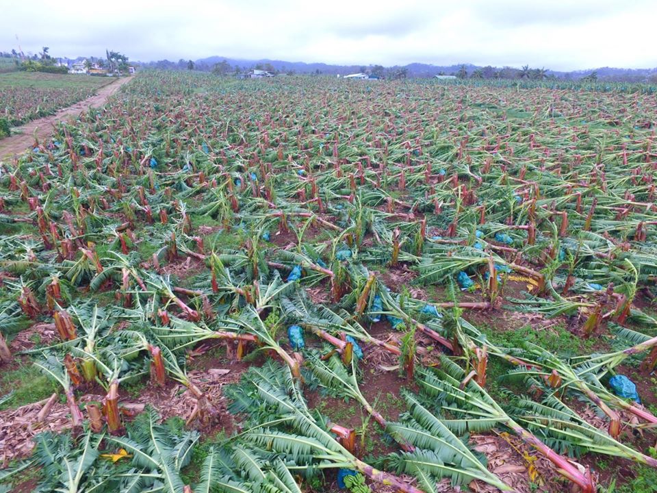 La Semaine de l’Agriculture de Martinique