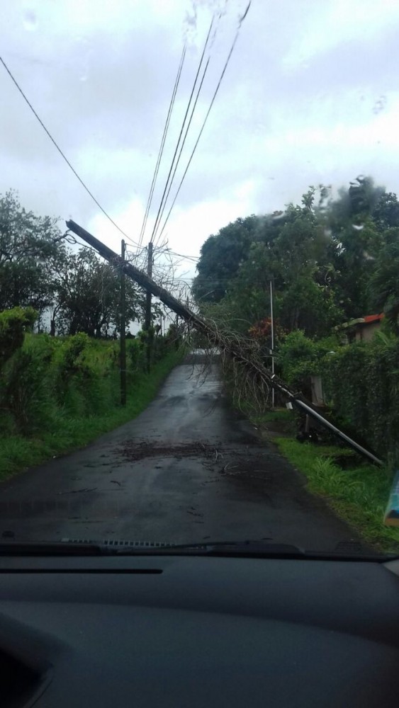 GUADELOUPE. Suites de l’ouragan Maria, interdiction de la circulation des véhicules sur les voies encombrées par des obstacles