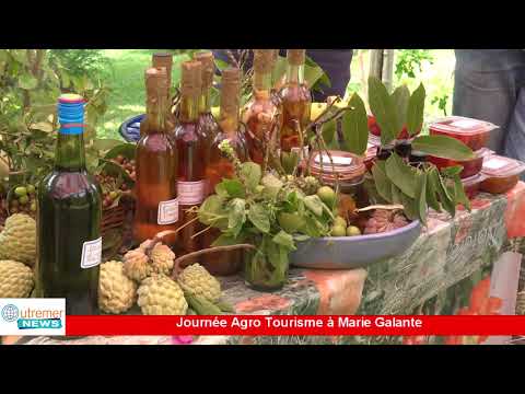[Vidéo] .Journée agro Tourisme à Marie galante