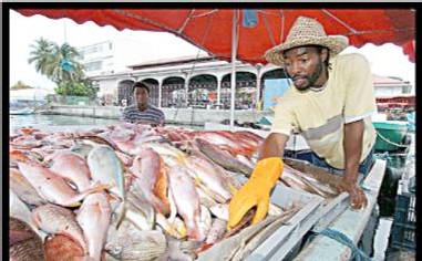 GUADELOUPE. FILIÈRE PÊCHE ET AQUACULTURE La Région Guadeloupe poursuivra le soutien apporté à la profession