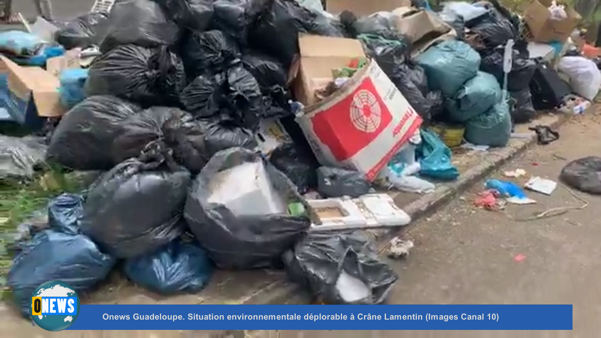 Onews Guadeloupe. Situation environnementale déplorable à Crâne Lamentin (Images Canal 10)