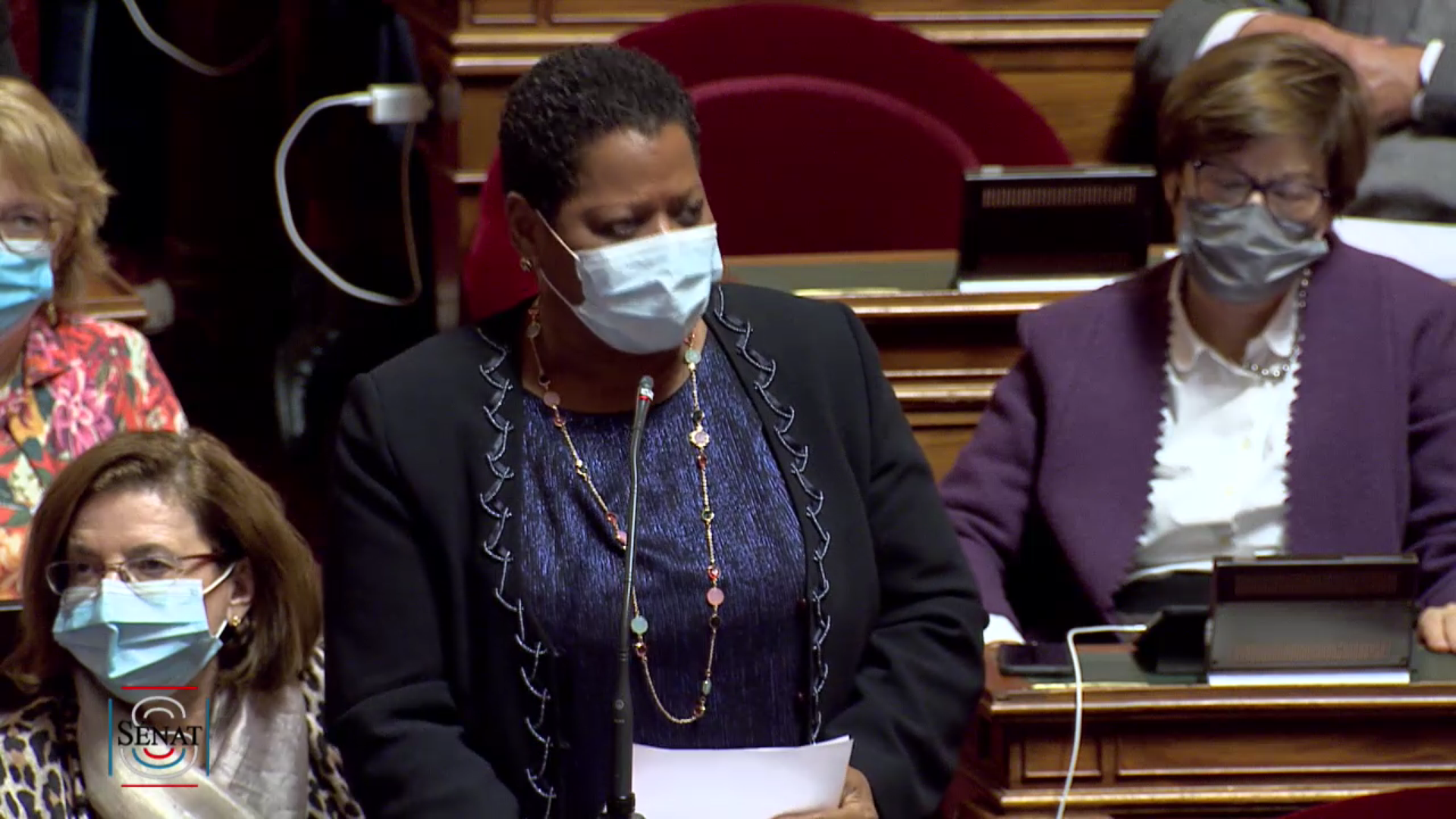 [Vidéo] Hexagone. Au Sénat Victoire JASMIN Sénatrice de Guadeloupe dit non à la réintroduction des Néonicotinoides sur le Marché.