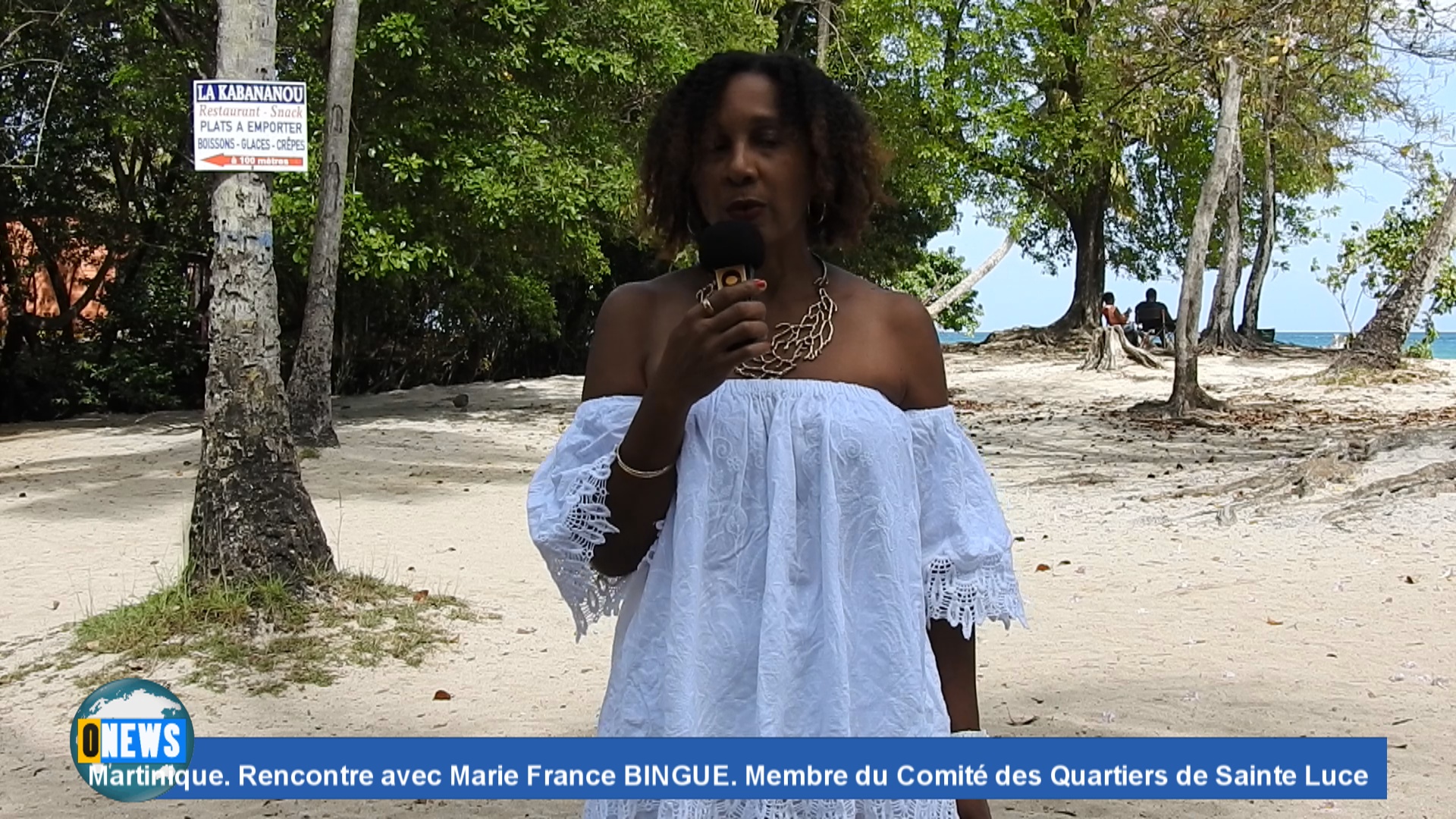 [Vidéo] Onews Martinique. Rencontre avec Marie France BINGUE. Comité des Quartiers de Sainte Luce qui souhaite organiser un Marché de Noël en 2021