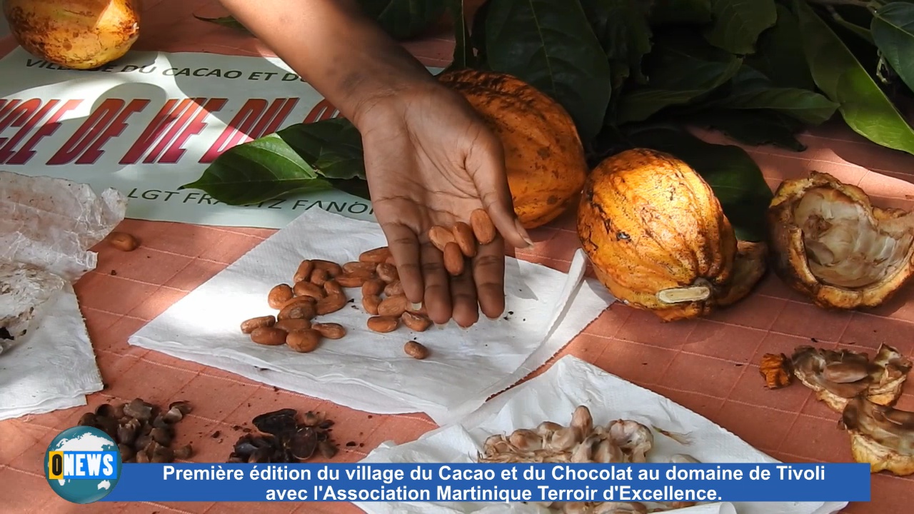 [Vidéo] Onews Martinique. 1ère édition du Village Cacao et du Chocolat au Domaine de Tivoli.