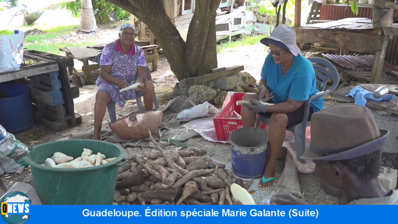 [Vidéo] Onews Guadeloupe. Édition spéciale Marie Galante (suite)