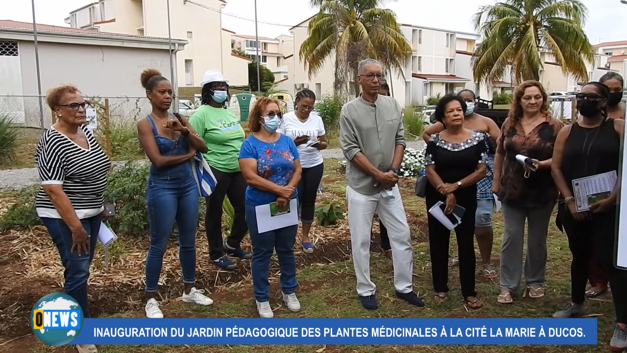 [vidéo] Onews Martinique. Inauguration du Jardin Pédagogique des plantes médicinales à Ducos