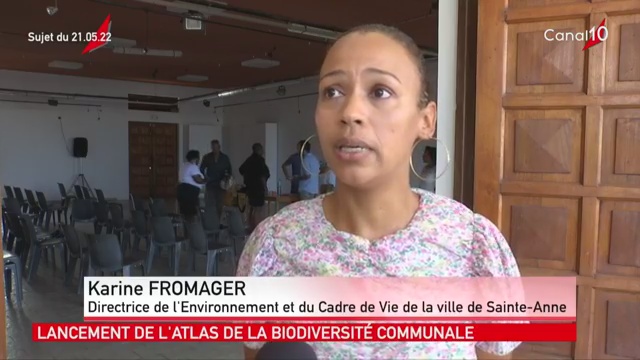 [Vidéo] onews Guadeloupe. Le Jt de Canal 10