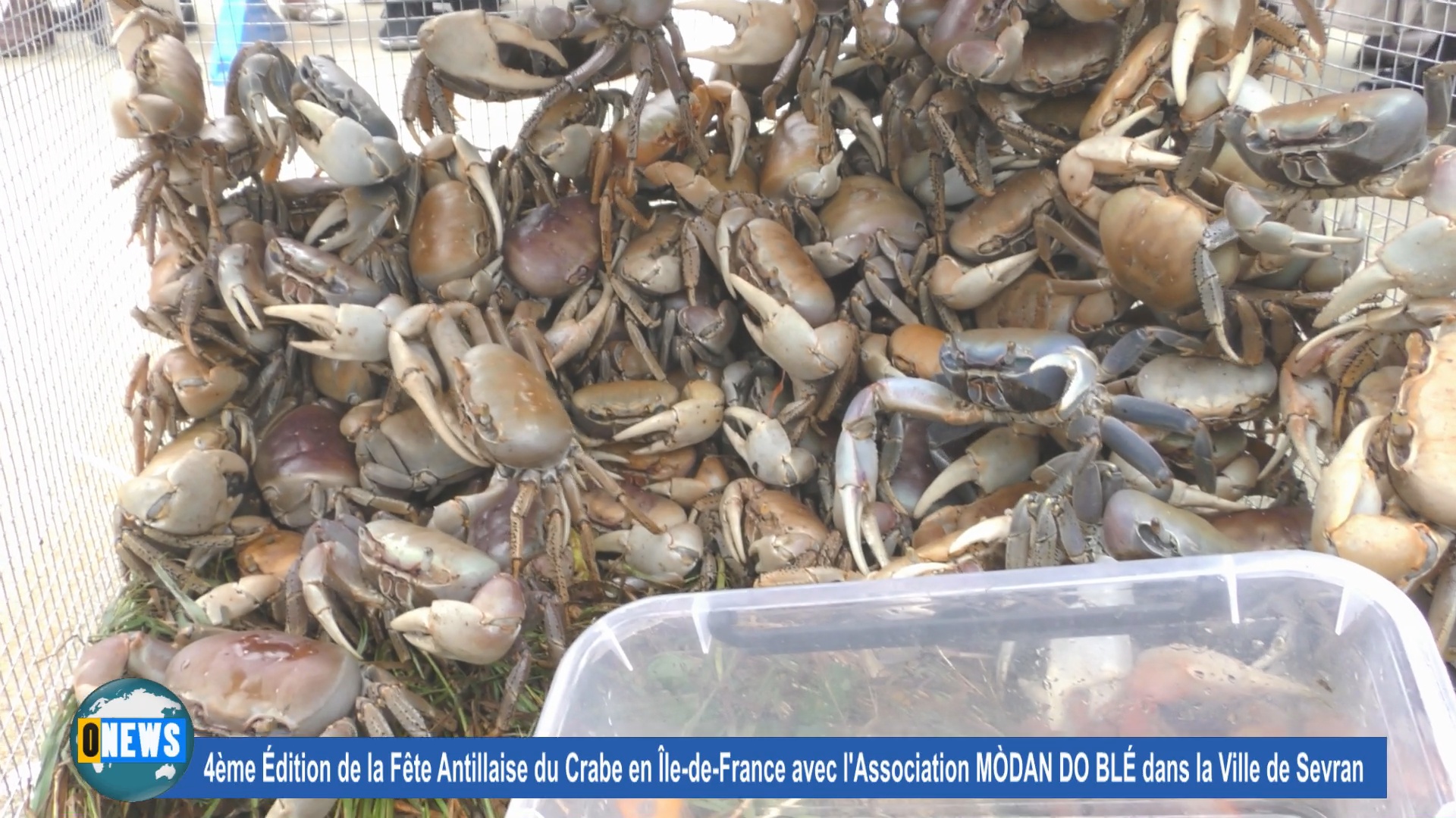 [Vidéo] Fête du crabe à Sevran avec l’Association Modan do blé