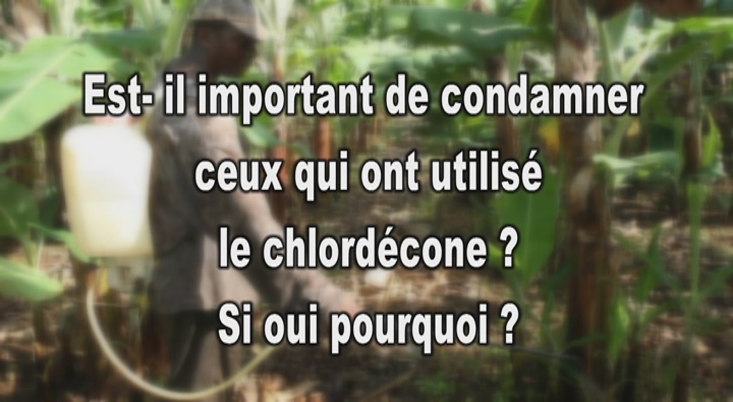 [Vidéo] Micro Trottoir. Faut il condamner ceux qui ont utilisé le Chlordécone (KMT)