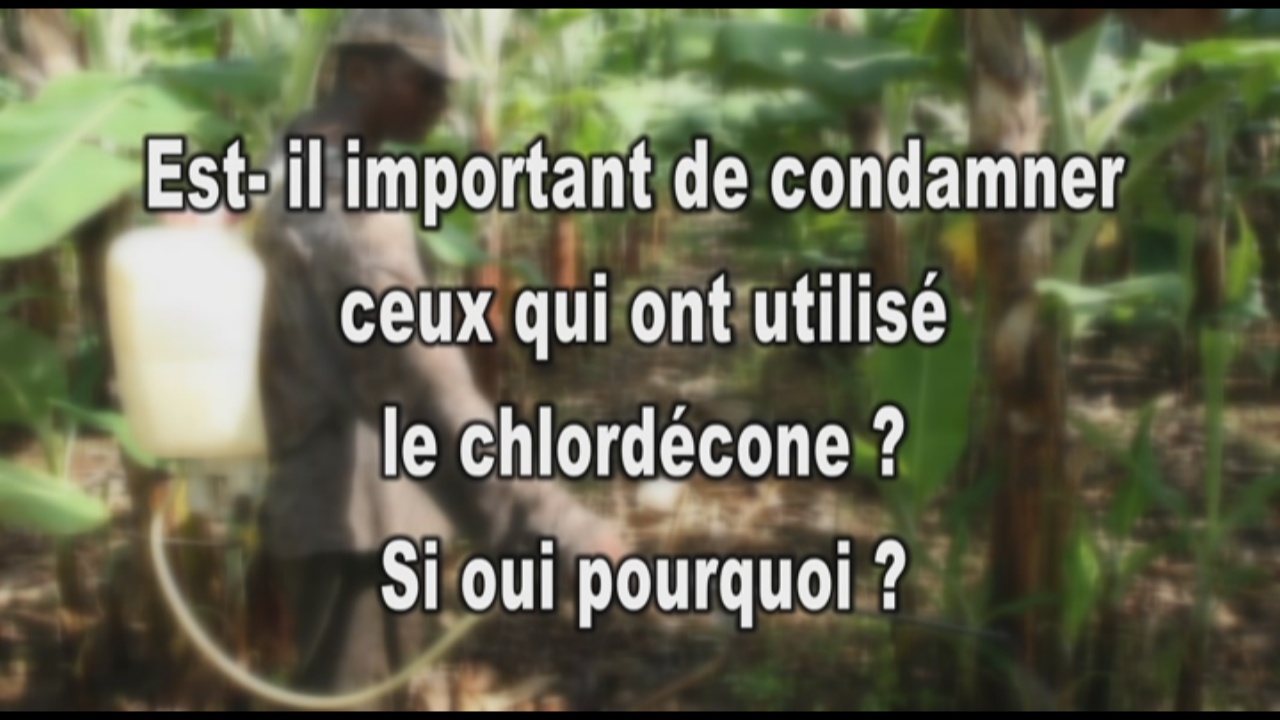 [Vidéo] Faut il condamner ceux qui ont utilisé le chlordécone aux Antilles (micro trottoir suite)