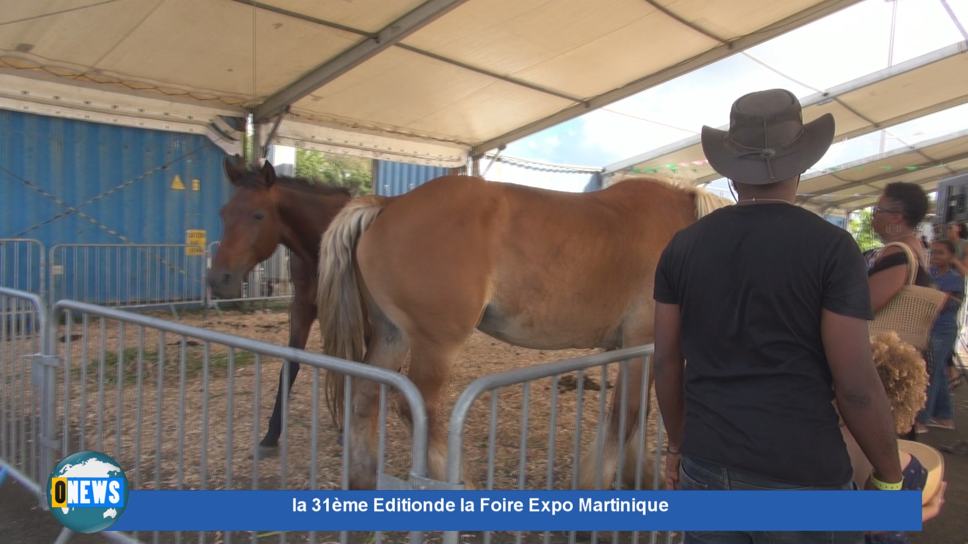 [Vidéo]31ème Edition de la Foire Expo de Martinique jusqu’au 16 Avril