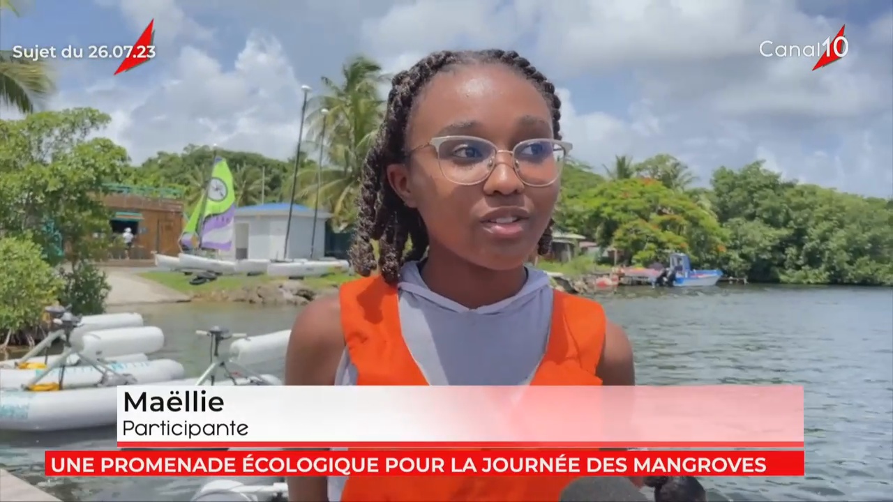 [Vidéo] Onews Guadeloupe.le jt de Canal 10