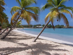 MARTINIQUE. Grande conférence sur le tourisme