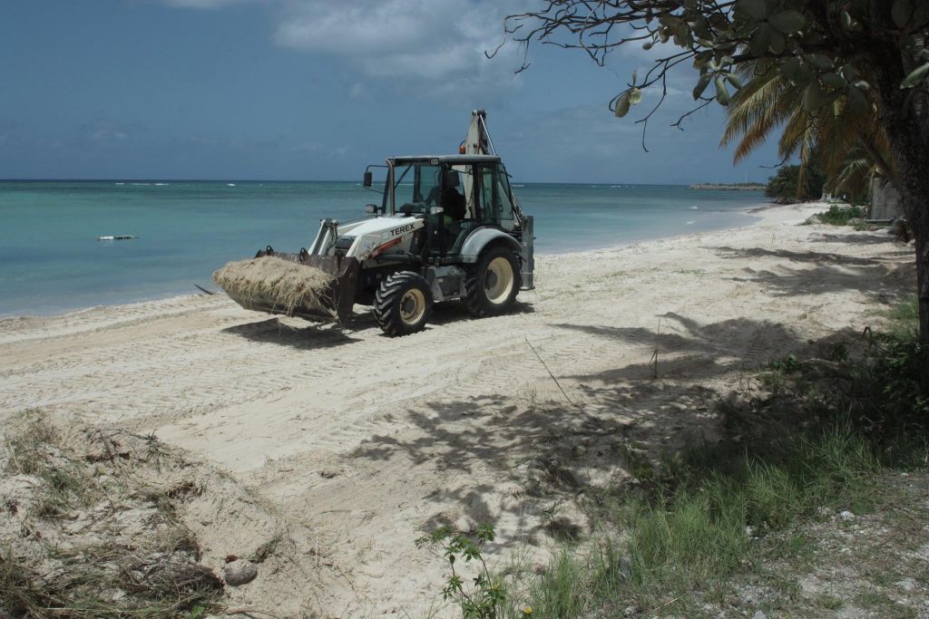 GUADELOUPE. Embellissement de la plage de Grand bourg Marie Galante