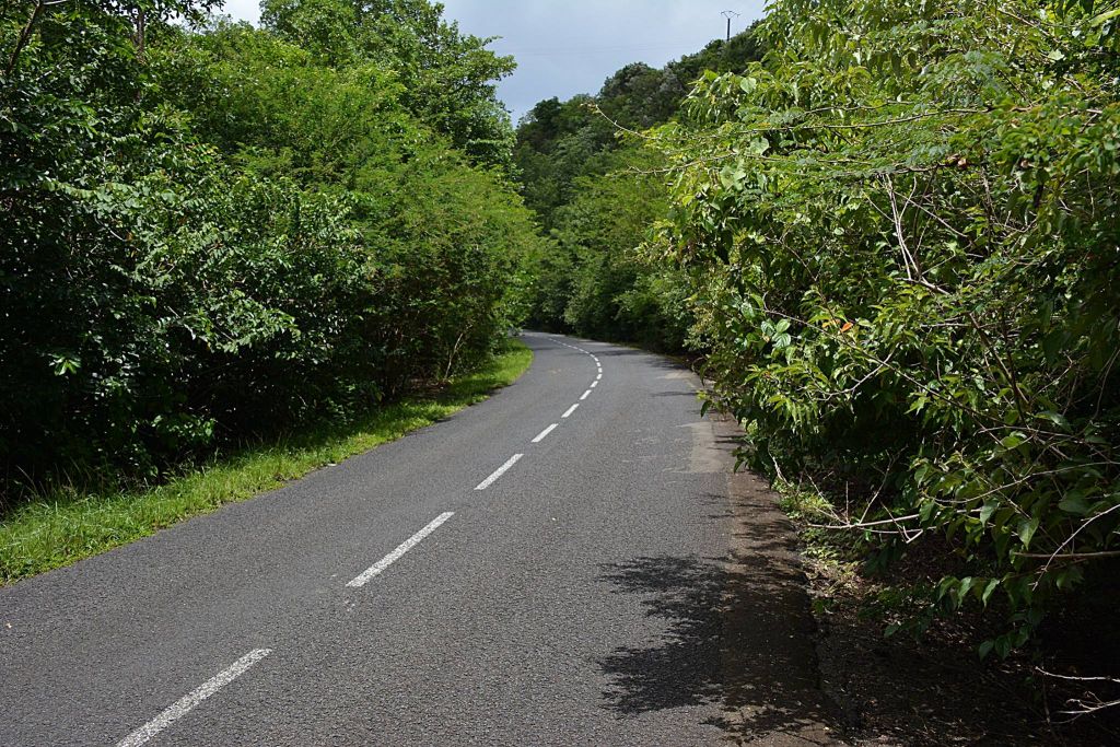 MARTINIQUE. Question posée au Maire de Sainte Luce