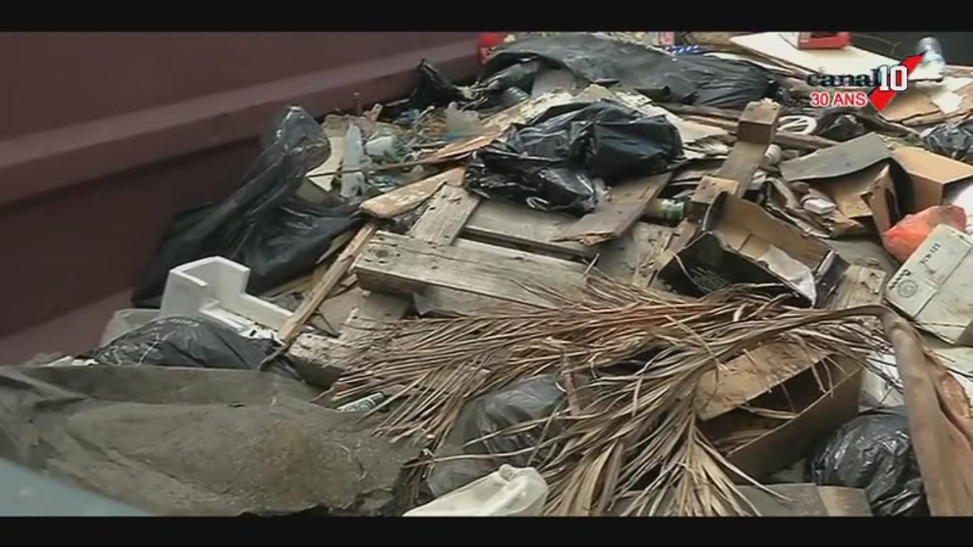 [Vidéo] GUADELOUPE. Nettoyage du littoral de la datcha au Gosier. Reportage canal