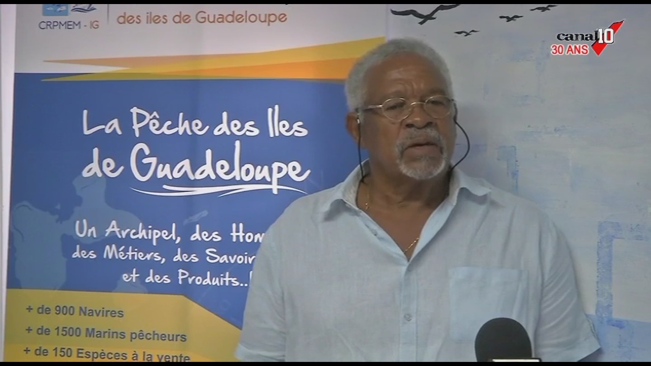 [Vidéo] GUADELOUPE. Difficultés de recouvrement pour les marins pêcheurs. Reportage canal 10