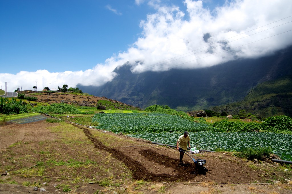 [Vidéo]REUNION. Soutenir une agriculture locale et durable.