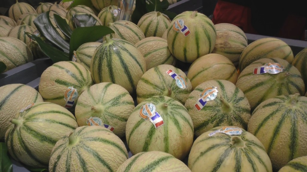 [Vidéo] HEXAGONE. Spécial salon de l’agriculture,interview de Patrick SELIN, de Jean Hubert FRANCOIS et Angèle OZIER