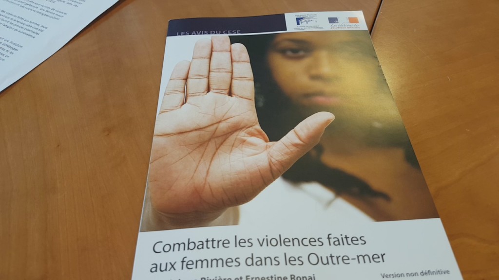 [Vidéo] HEXAGONE. LE C.E.S.E vote en Assemblée Plénière à paris un projet d’avis ( Combattre les violences faites aux femmes dans les Outre mer )