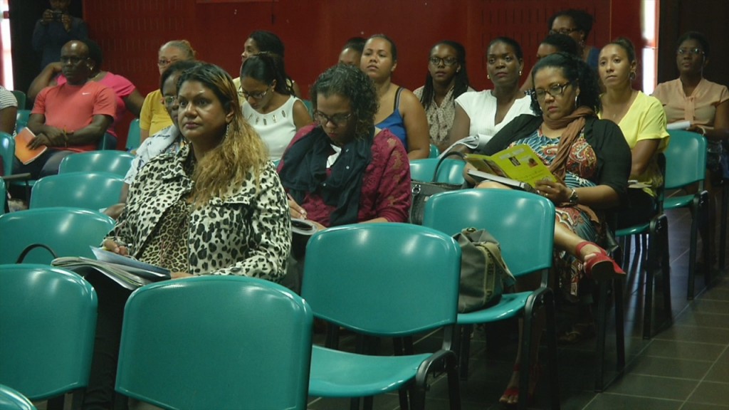 [Vidéo] GUADELOUPE. Journée de sensibilisation des violences faites aux femmes à Pointe à pitre