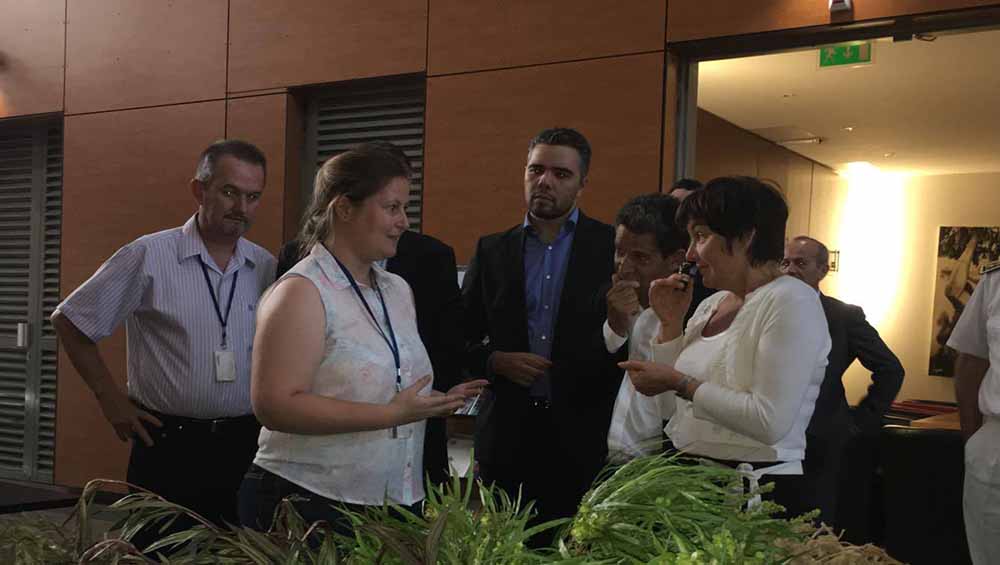 Vidéo REUINION . Visite de la Ministre des Outre mer suite Vidéo REUINION . Visite de la Ministre des Outre mer suite