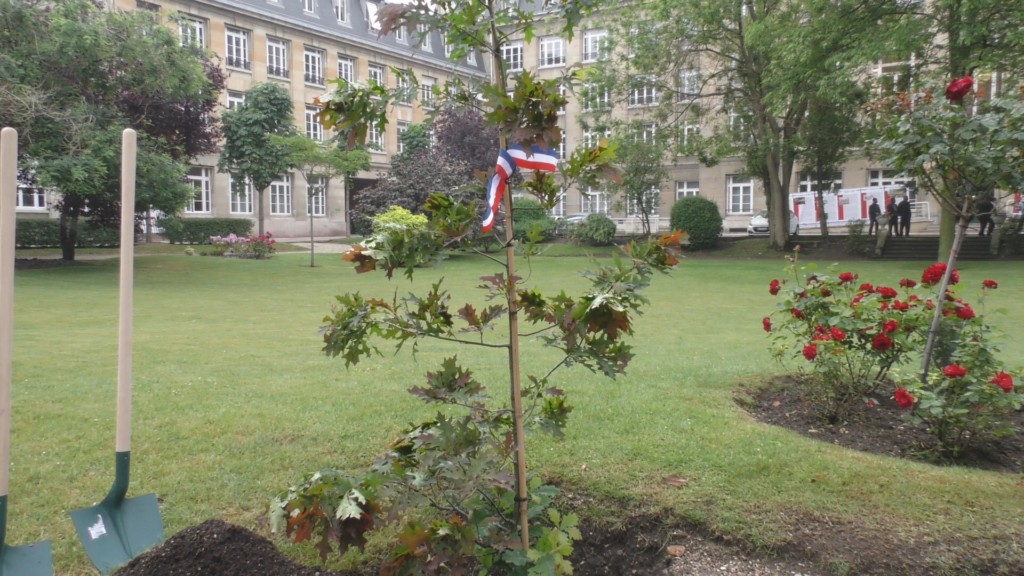 [Vidéo] HEXAGONE. Mercredi 23 Mai Plantation d’un Arbre de la Liberté dans les Jardins du Ministère des Outre mer