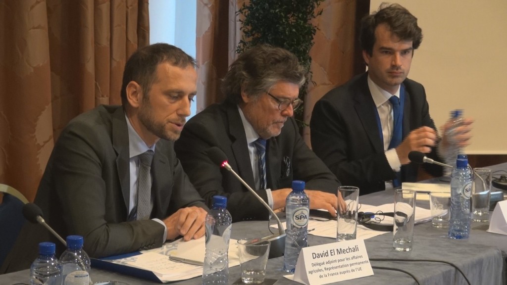 [Vidéo] Réunion à Bruxelles contre la réduction de 3,9% du Budget POSEI organisée par l’EURODOM