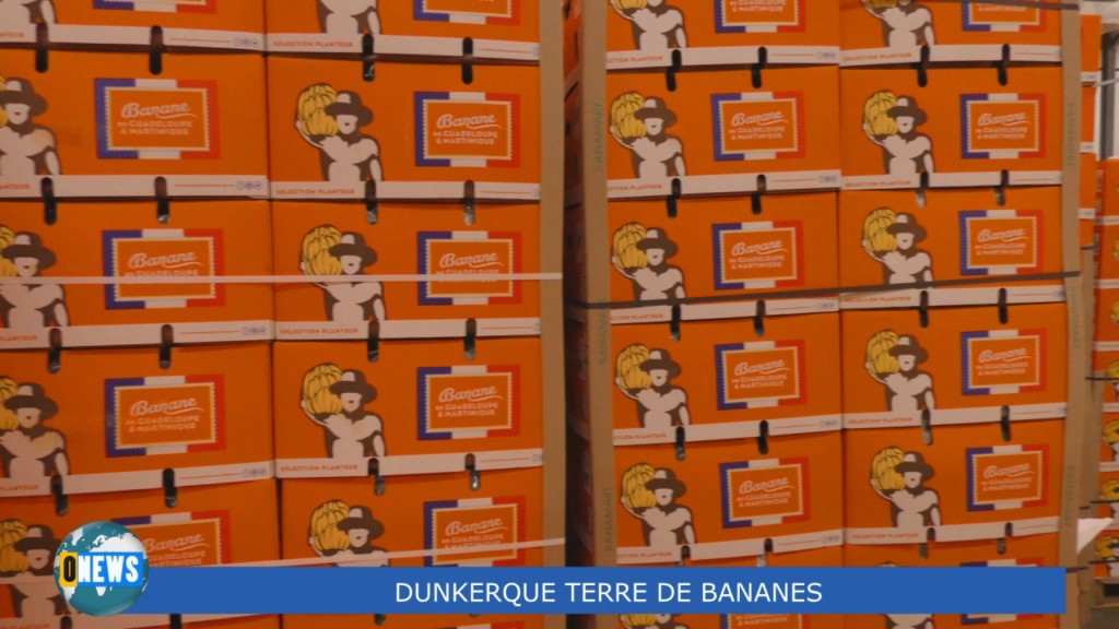 [Vidéo] HEXAGONE. Visite à Dunkerque ville liée à la banane de Guadeloupe et Martinique