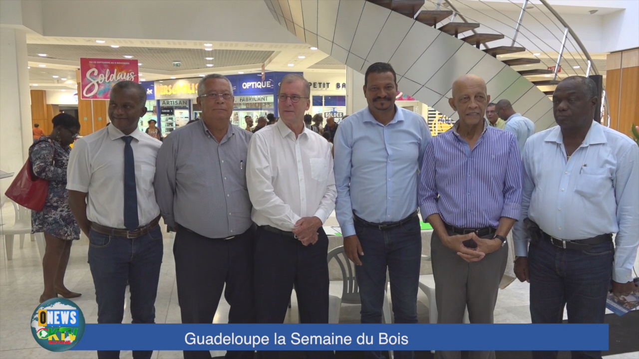 [Vidéo] Guadeloupe. La semaine du Bois