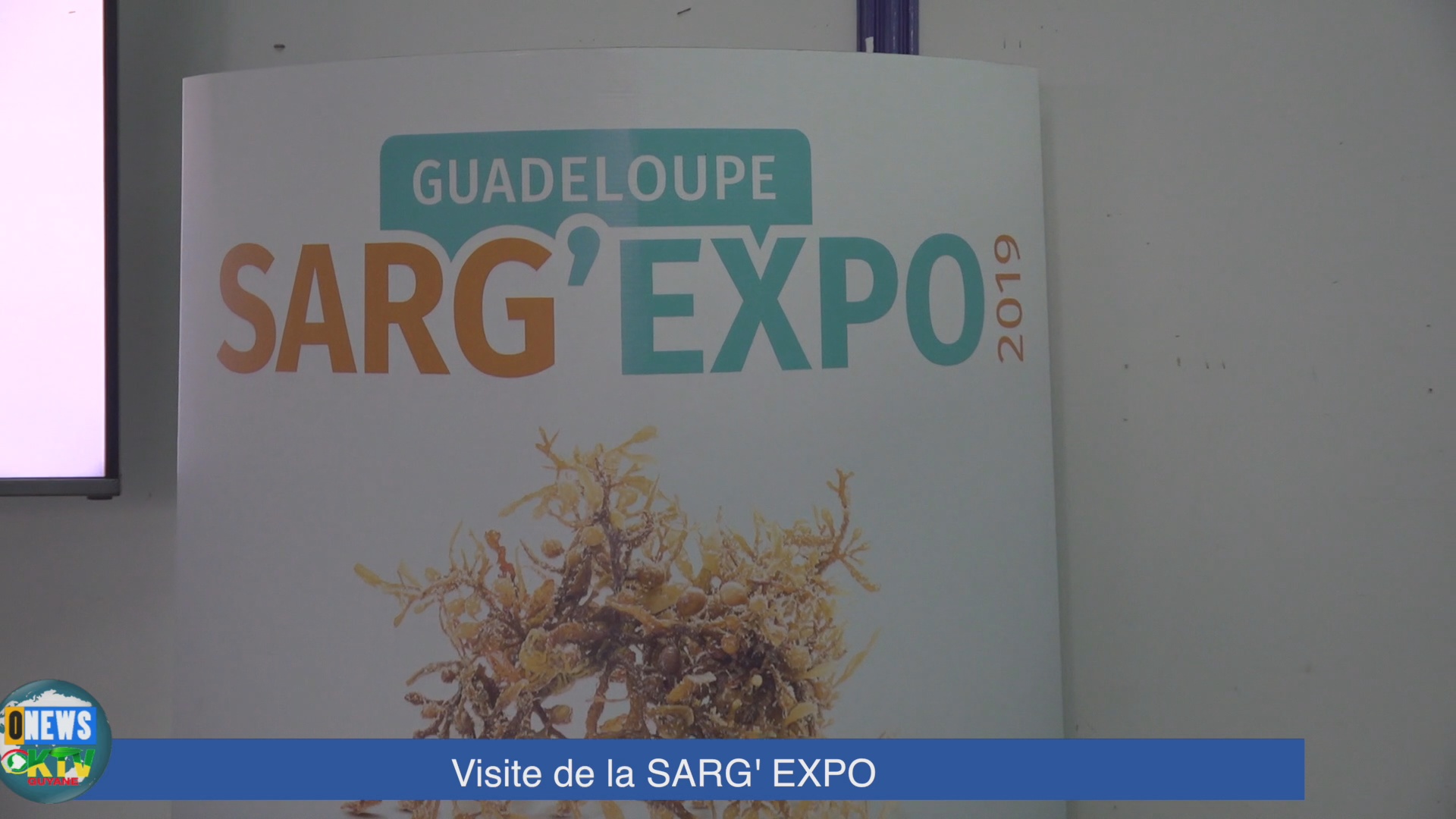 [Vidéo] GUADELOUPE. Salon Sarg’ Expo