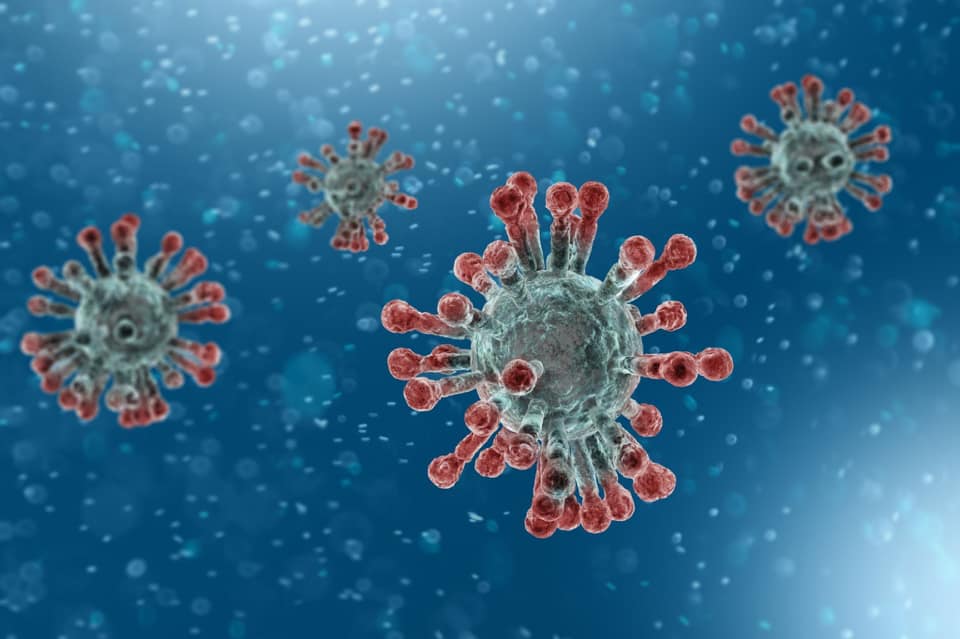 [vidéo]Onews. Coronavirus Saint martin.Daniel GIBBS Président de la Collectivité fait le point. (Images IOTV)