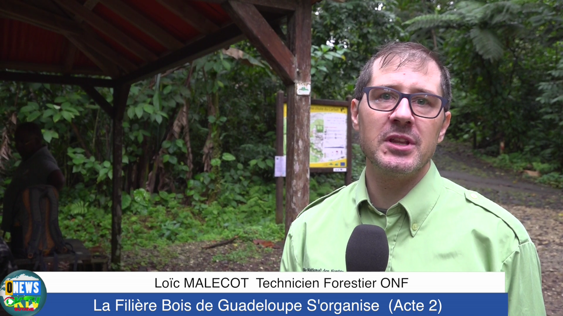 [Vidéo] Onews Guadeloupe. La Filière Bois s’organise