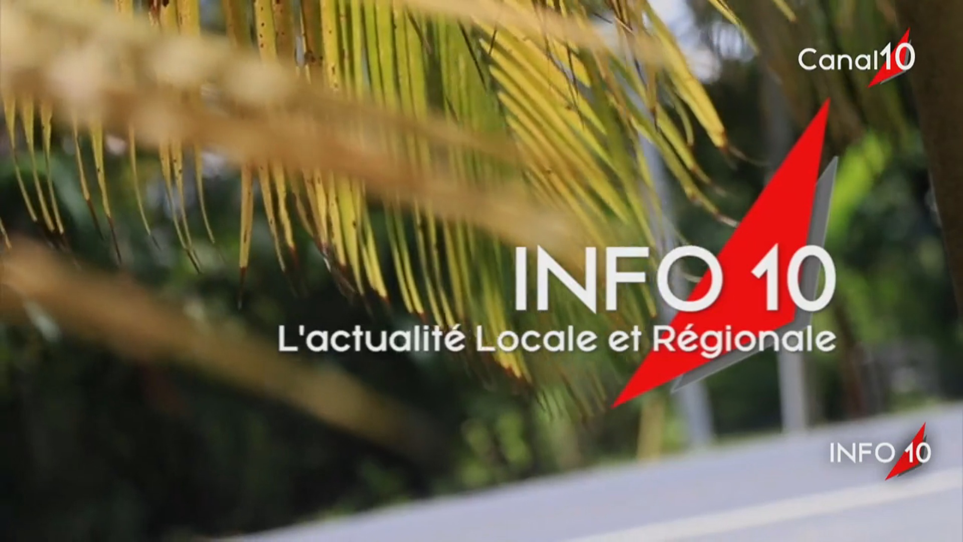 [Vidéo] Onews Guadeloupe. Le Jt de canal 10.