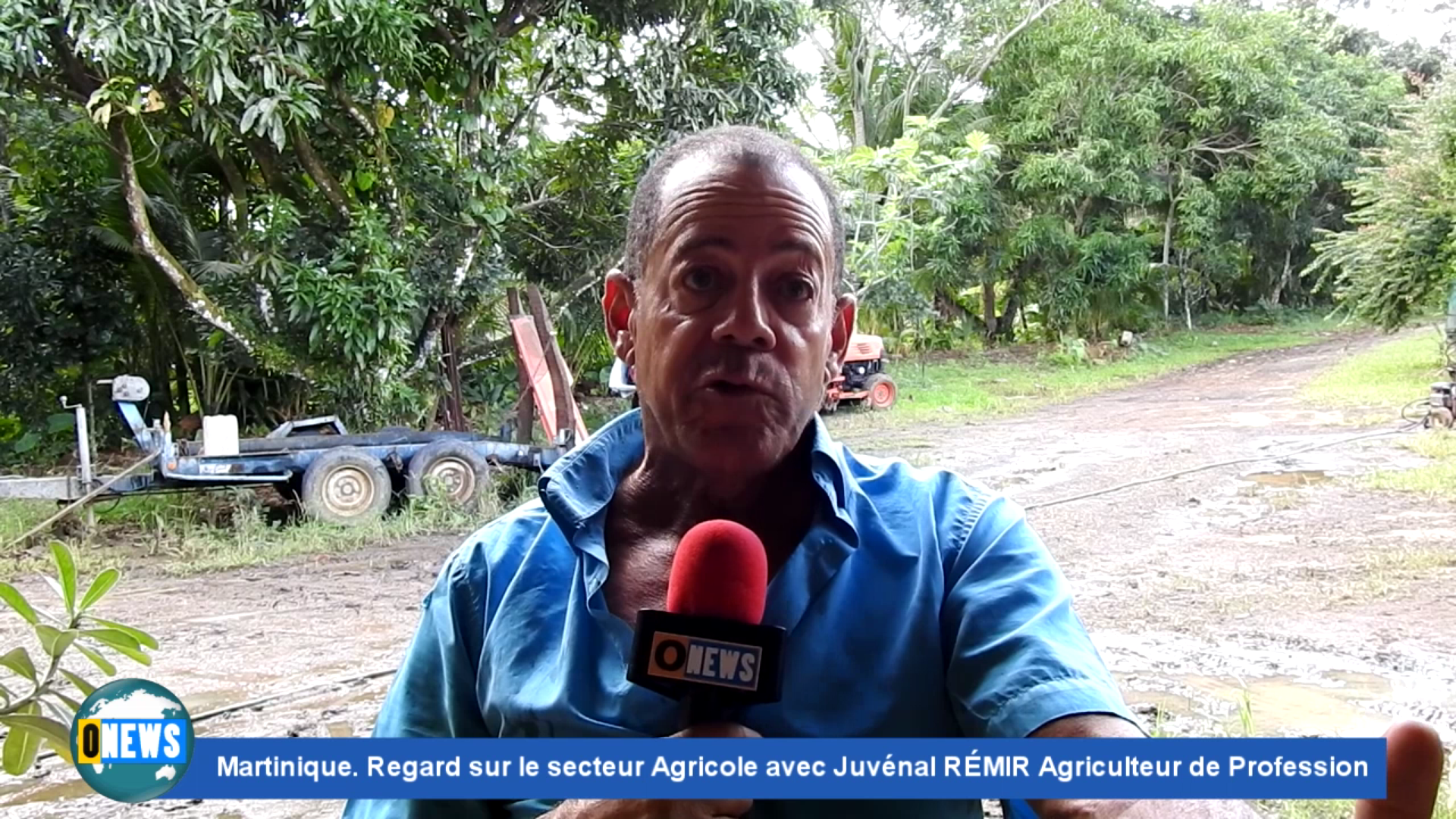 [Vidéo] Onews Martinique. Regard sur le secteur Agricole avec Juvénal RÉMIR Agriculteur.