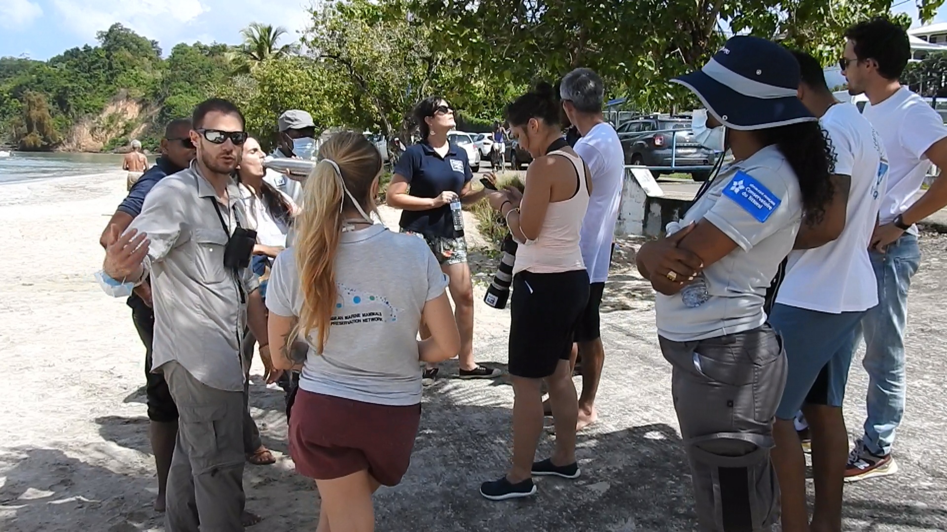 [Vidéo] Onews Martinique. Un cachalot rode non loin d une plage commune de Trinité. Tout mis en place  pour qu’il regagne le large.