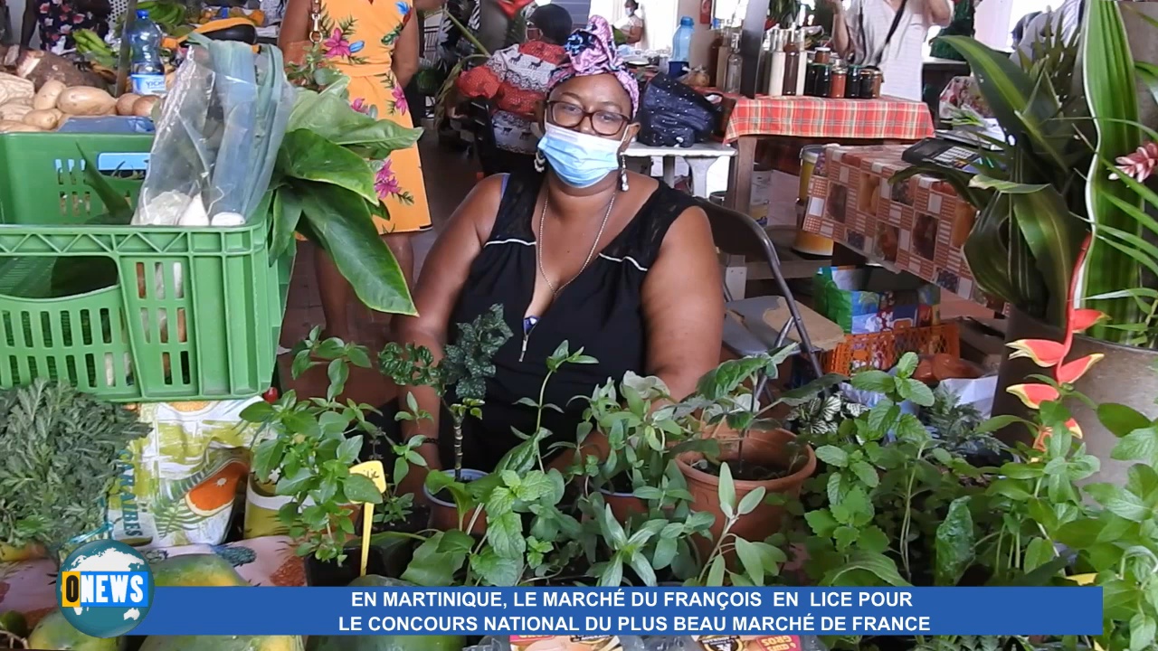 [Vidéo] Onews Martinique. Le Marché du François 1er des Antilles Guyane au concours du plus beau marché de France