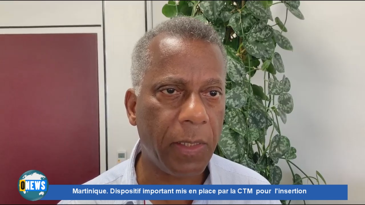 Onews Martinique. Dispositif important mis en place par la CTM pour l’insertion