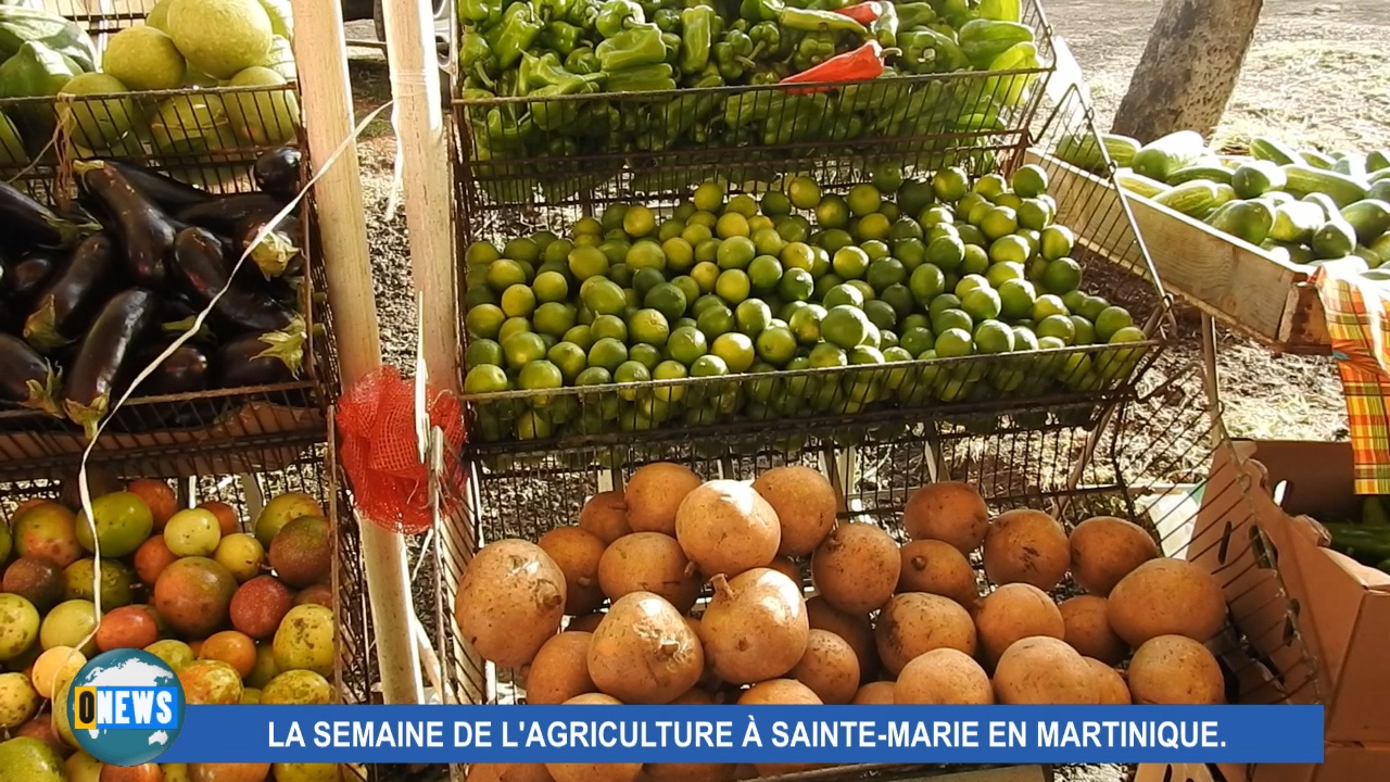 [Vidéo] Martinique. Semaine de l’Agriculture à Sainte Marie