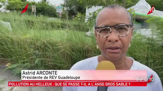 [Vidéo]Onews Guadeloupe. Le Jt de canal 10