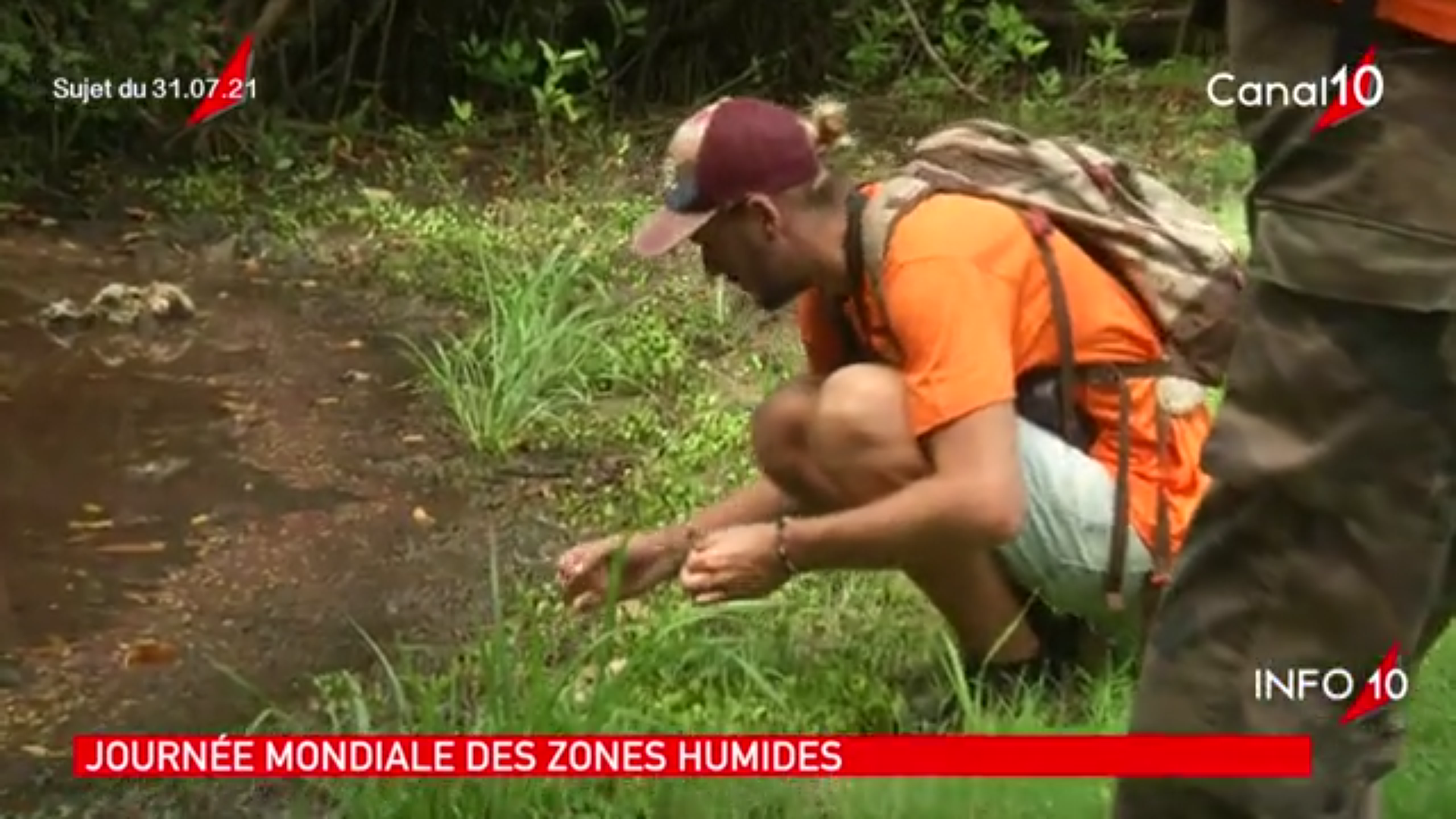 [Vidéo] Onews Guadeloupe. Le Jt de Canal 10