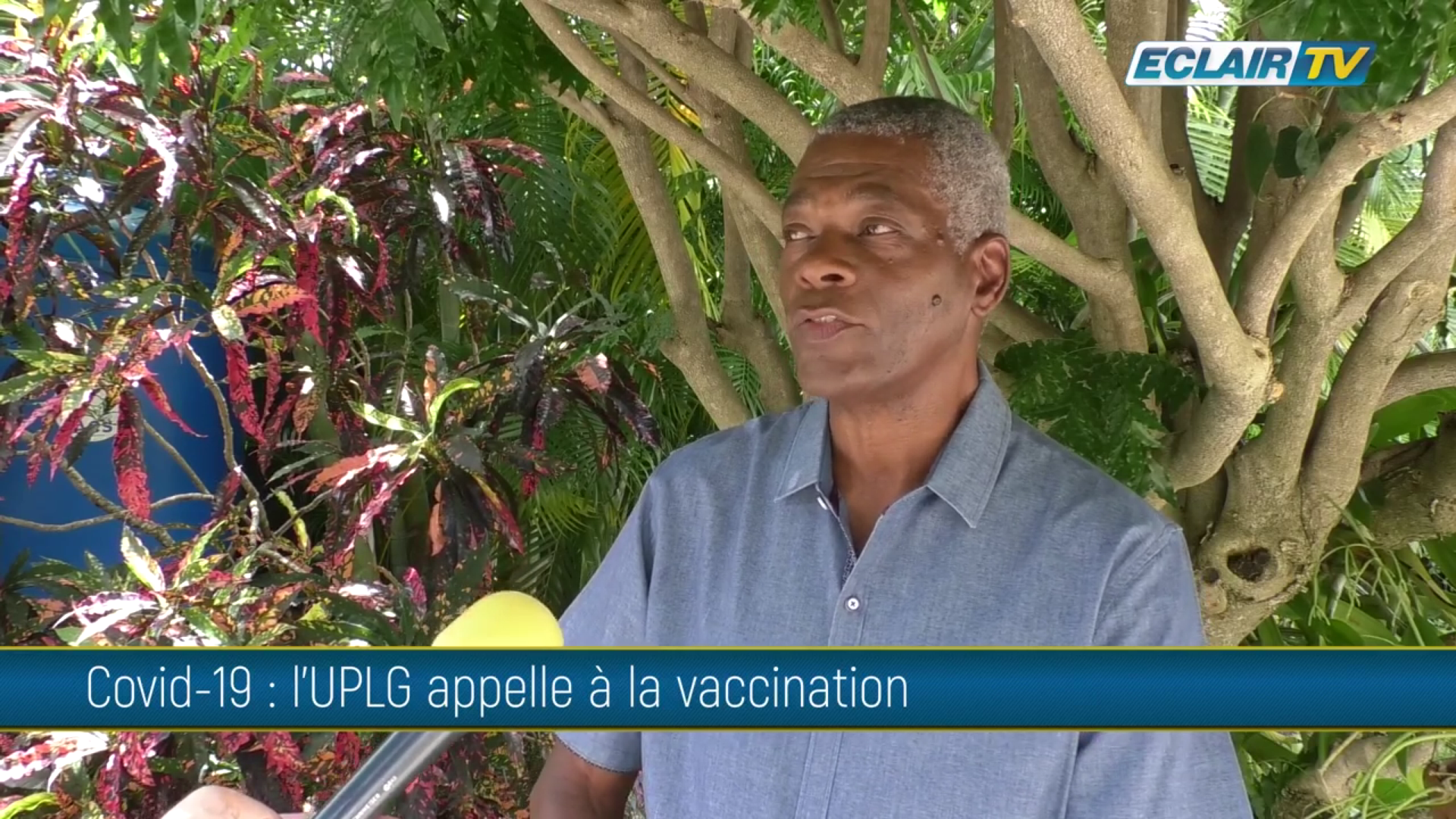 ovid.Guadeloupe. Les syndicats demandent le report de la rentrée scolaire..