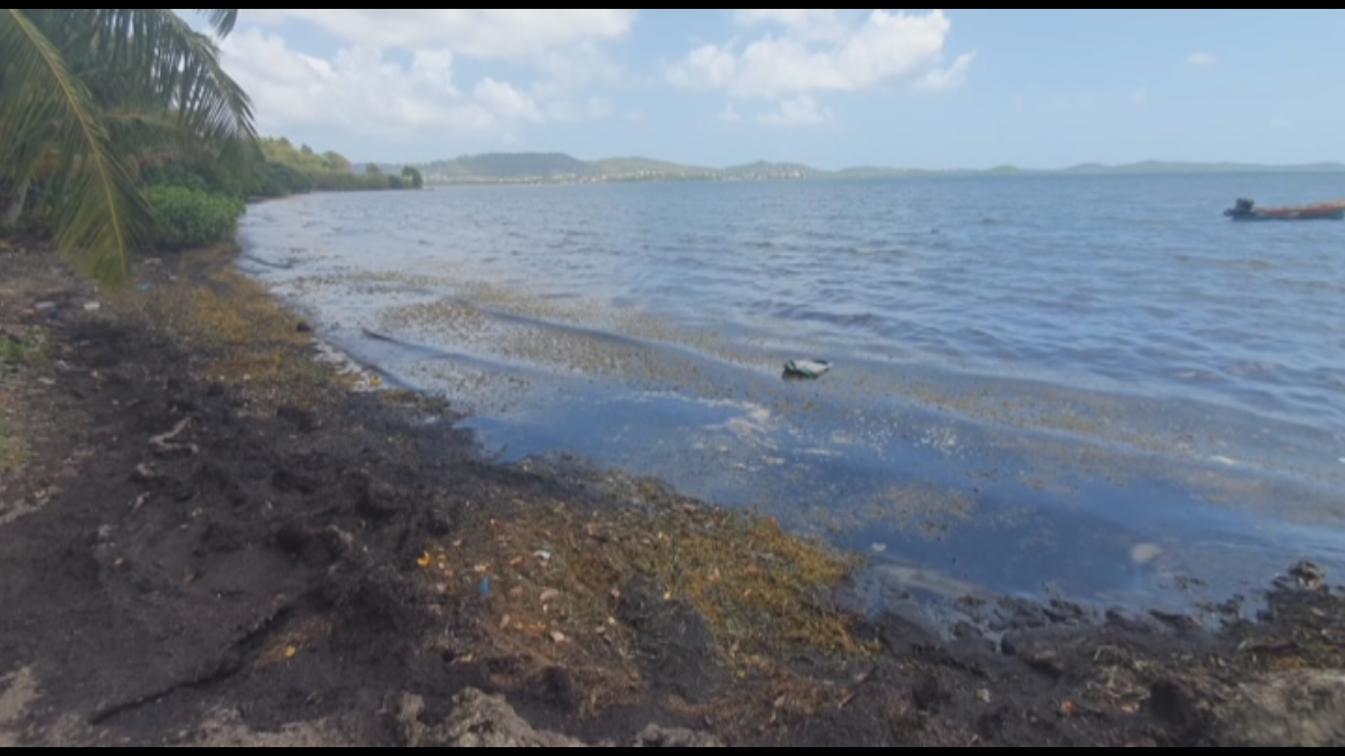 [Vidéo] Onews Martinique. Le jt de KMT