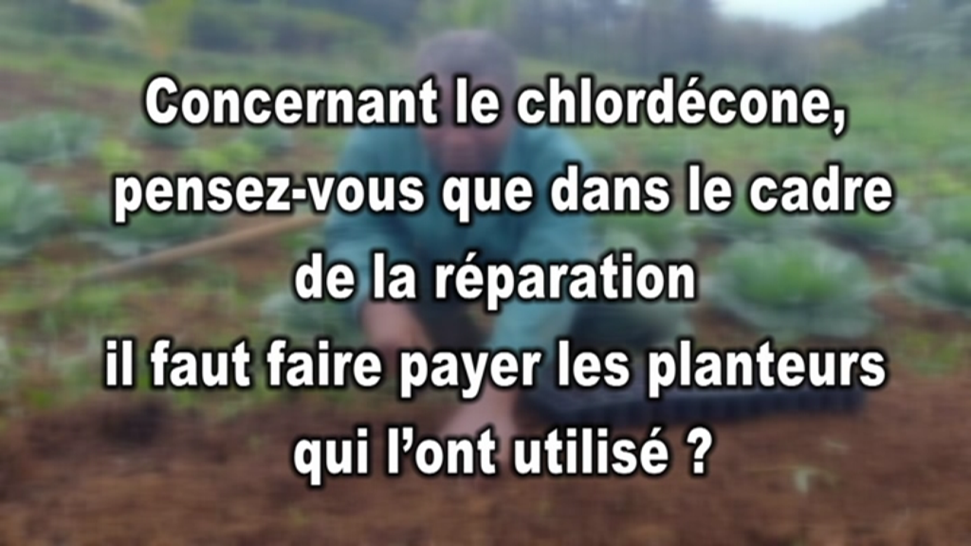 [Vidéo] Martinique. Chloredecone. Faut il faire payer les planteurs (micro trottoir KMT)