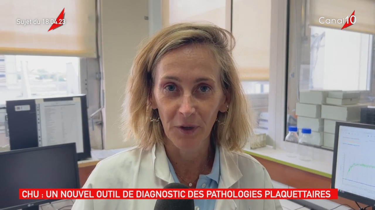 [Vidéo] Onews Guadeloupe. Le Jt de Canal 10