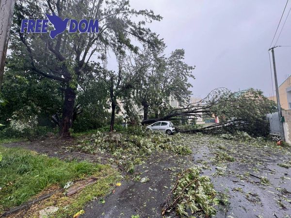 [Vidéo] Réunion Cyclone Belal. Alerte rouge levée. Les dernières images (Freedom)